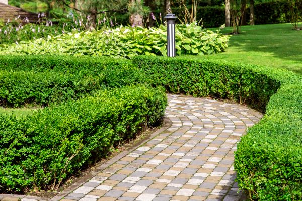 Cost of Paved Landscaping in Salinas