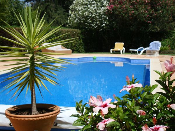 Cost of Pool Terrace Renovation in Salinas